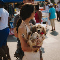 Bringing Pets to Painting Events in Nashville, TN: What You Need to Know